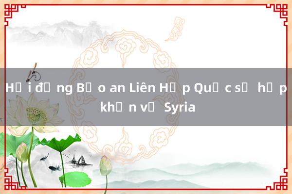 Hội đồng Bảo an Liên Hợp Quốc sẽ họp khẩn về Syria