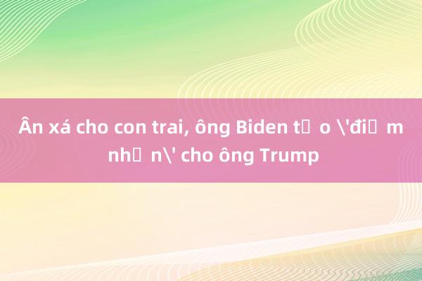 Ân xá cho con trai， ông Biden tạo 'điểm nhấn' cho ông Trump