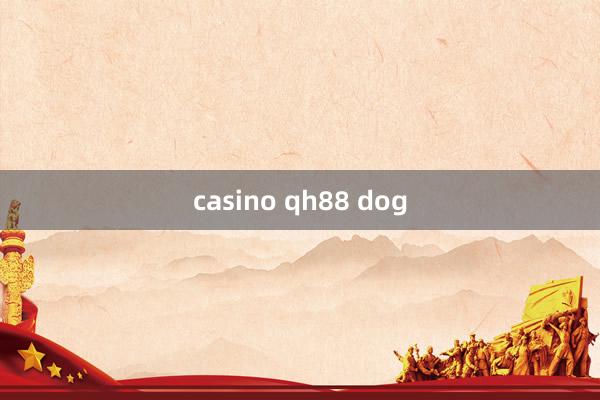 casino qh88 dog