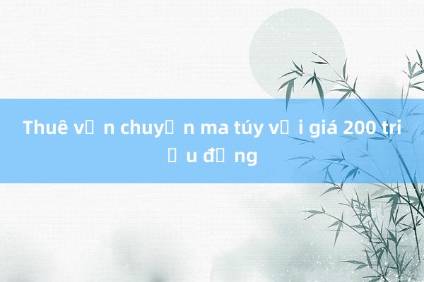 Thuê vận chuyển ma túy với giá 200 triệu đồng