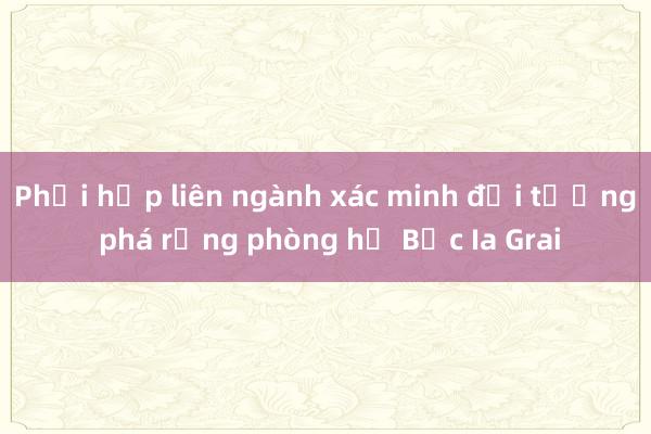 Phối hợp liên ngành xác minh đối tượng phá rừng phòng hộ Bắc Ia Grai