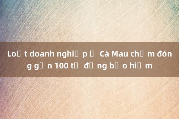 Loạt doanh nghiệp ở Cà Mau chậm đóng gần 100 tỷ đồng bảo hiểm