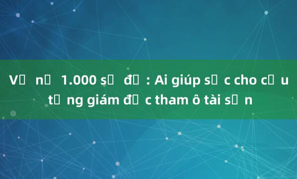 Vụ nợ 1.000 sổ đỏ: Ai giúp sức cho cựu tổng giám đốc tham ô tài sản