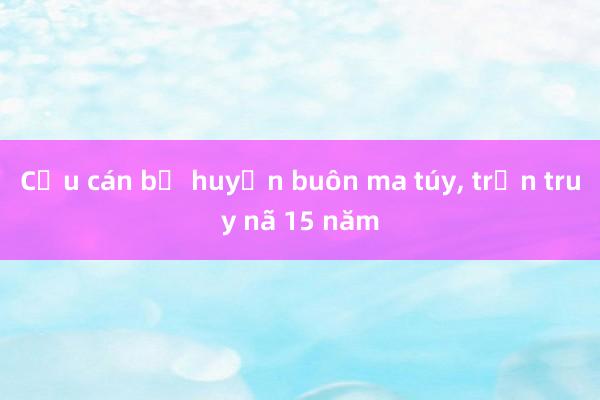 Cựu cán bộ huyện buôn ma túy， trốn truy nã 15 năm