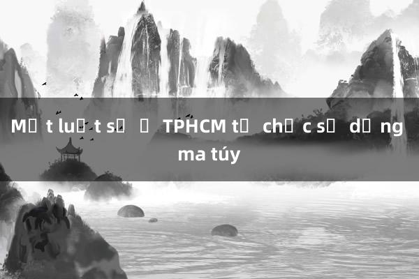 Một luật sư ở TPHCM tổ chức sử dụng ma túy