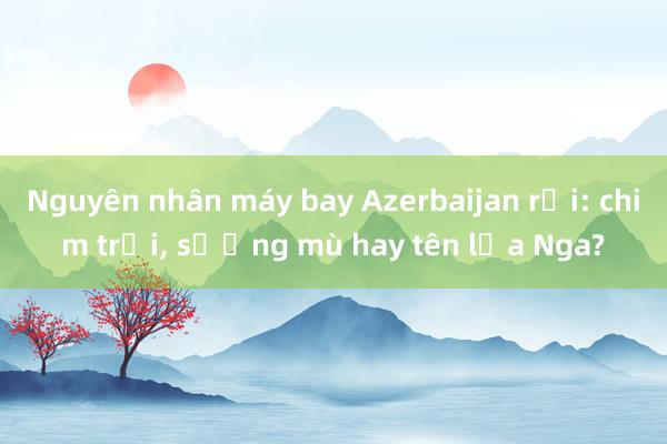 Nguyên nhân máy bay Azerbaijan rơi: chim trời， sương mù hay tên lửa Nga?