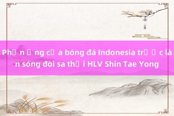 Phản ứng của bóng đá Indonesia trước làn sóng đòi sa thải HLV Shin Tae Yong