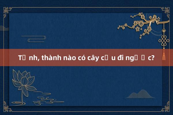 Tỉnh， thành nào có cây cầu đi ngược?